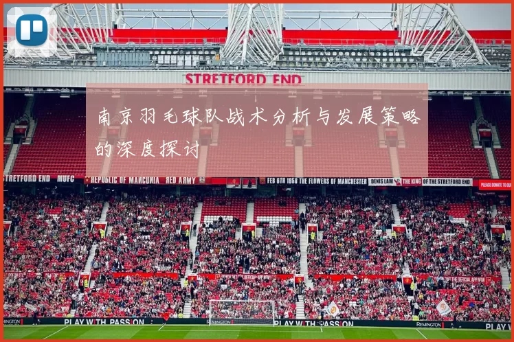 南京羽毛球队战术分析与发展策略的深度探讨