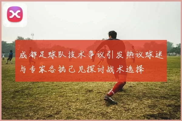 成都足球队技术争议引发热议球迷与专家各执己见探讨战术选择