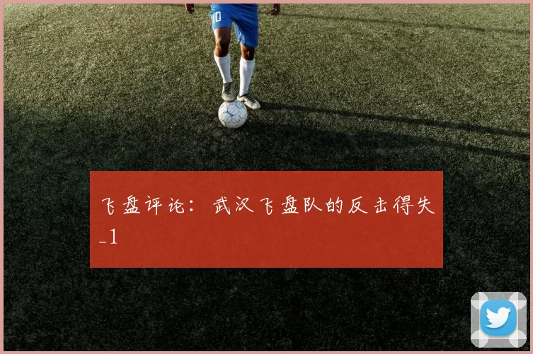 飞盘评论：武汉飞盘队的反击得失_1