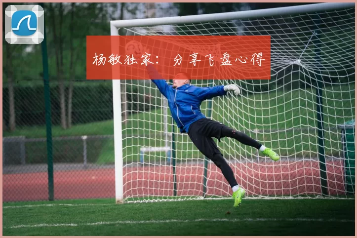 杨敏独家：分享飞盘心得