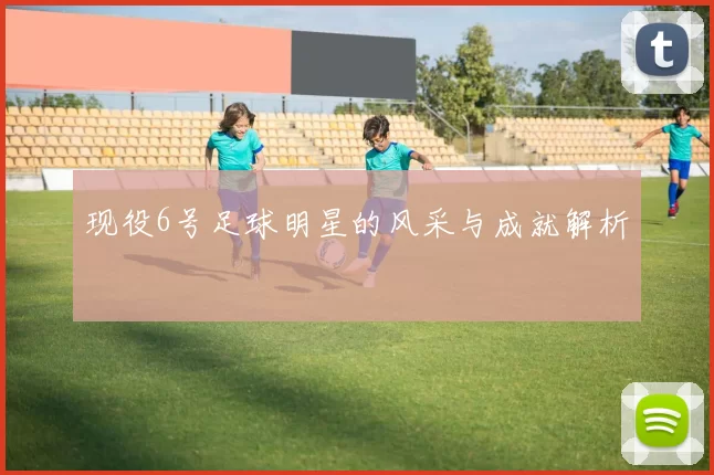 现役6号足球明星的风采与成就解析