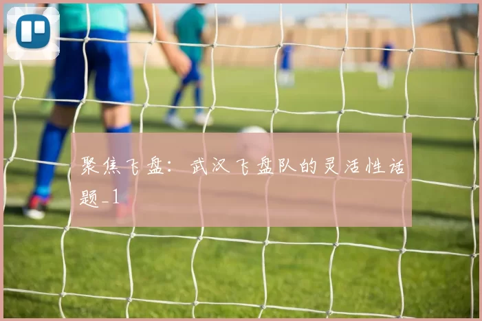 聚焦飞盘：武汉飞盘队的灵活性话题_1