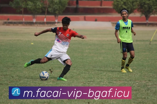 九游体育注册发展历程